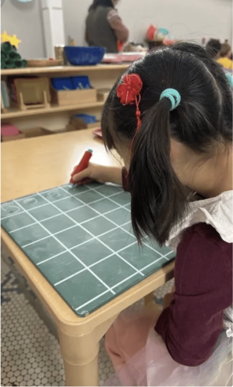 Growing Redwoods: Why Early Childhood Is About Roots, Not Branches