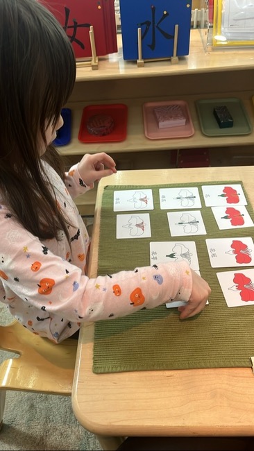 From “Wiping Tables” to World-Changing Work: Reframing Early Childhood Teaching